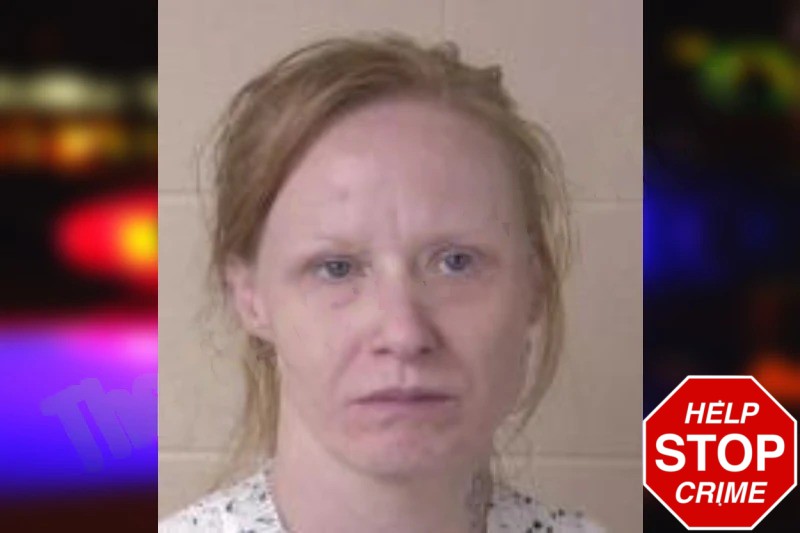 Natasha Dunn mugshot