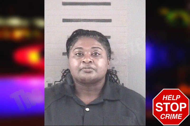 Natasha Gervin Mugshots