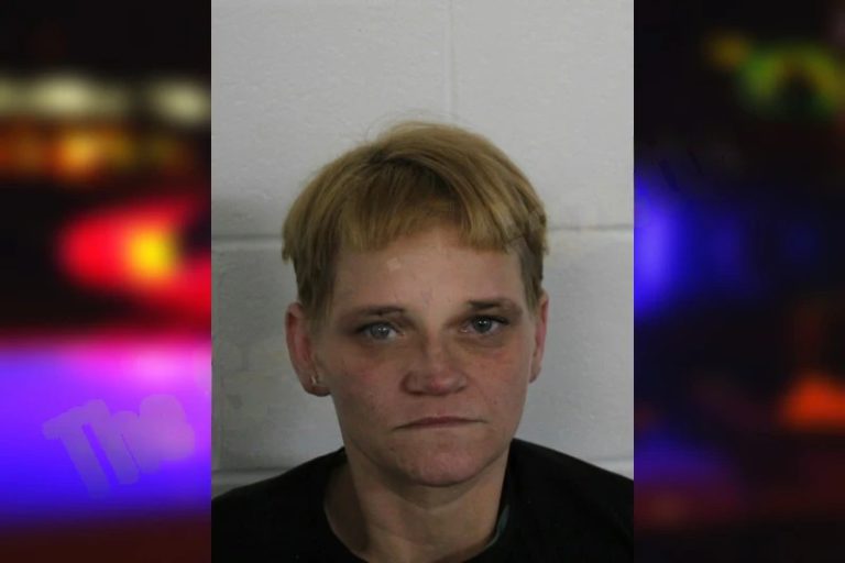 Natasha Terry mugshot – Floyd County , Georgia Natasha Terry