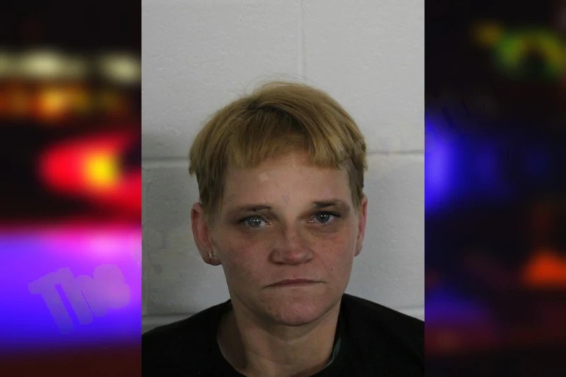 Natasha Terry Mugshots