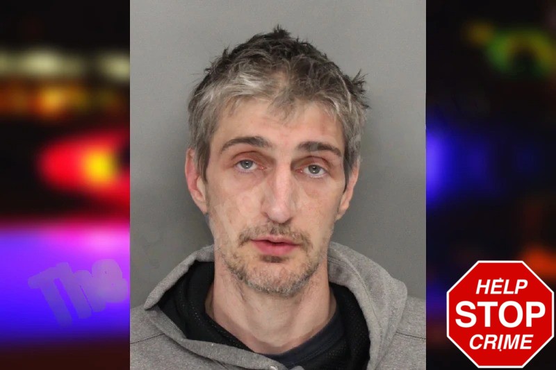 Nathan Viton mugshot