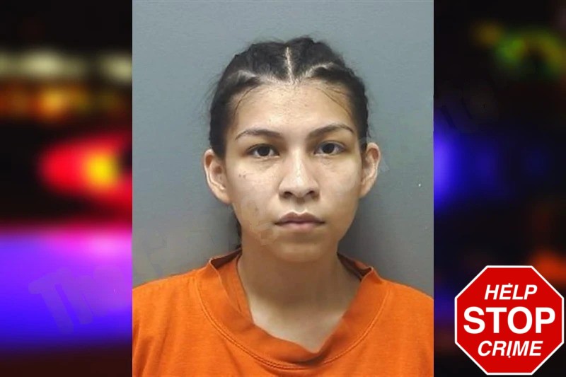 Nayeli Ramirez-Nieto Mugshots