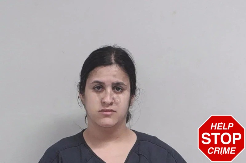 Nemesis Freyre Mugshots