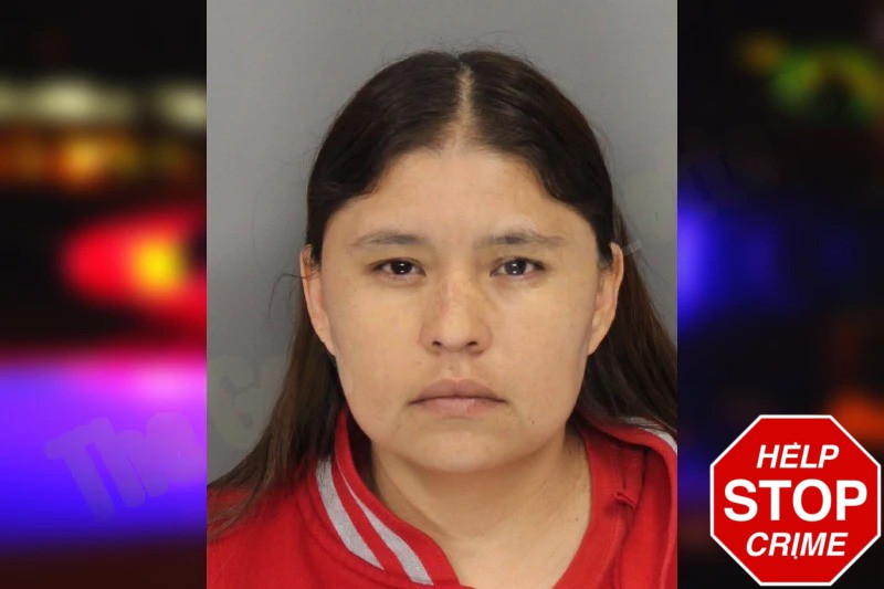 Nereyda Hernandez Mugshots