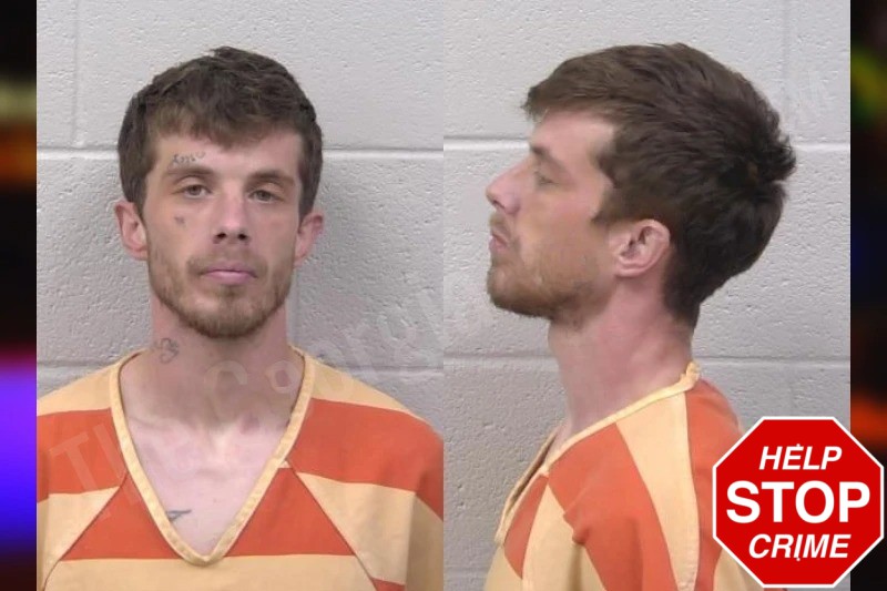 Nicholas Malone Mugshots