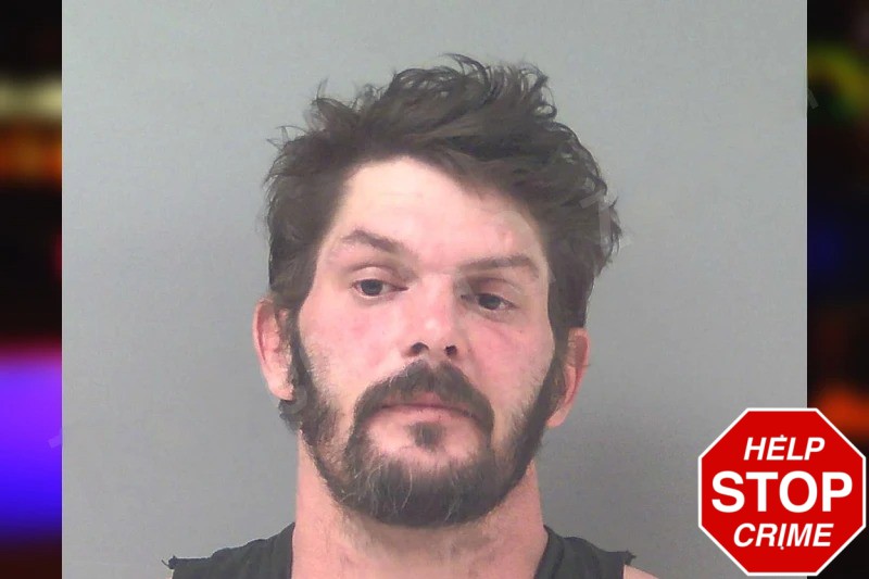 Nicholas McNeill Mugshots