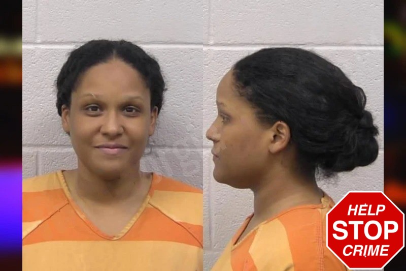 Nicole Butler Mugshots