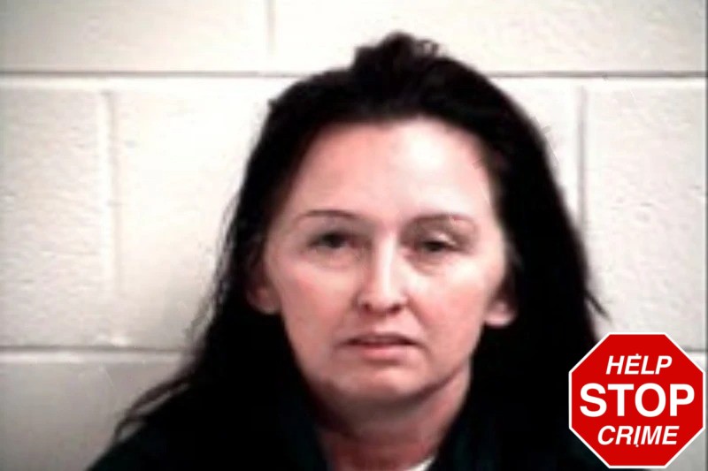 Nicole Martin Mugshots