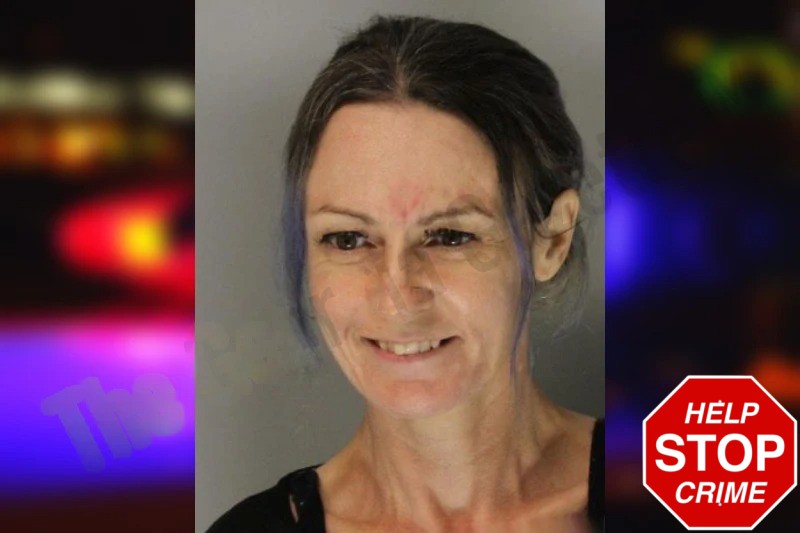 Nicole Reilly Mugshots