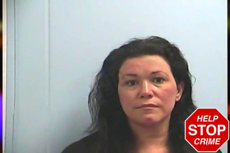 Nicole Vaziri mugshot – Dawson County , Georgia Nicole Vaziri