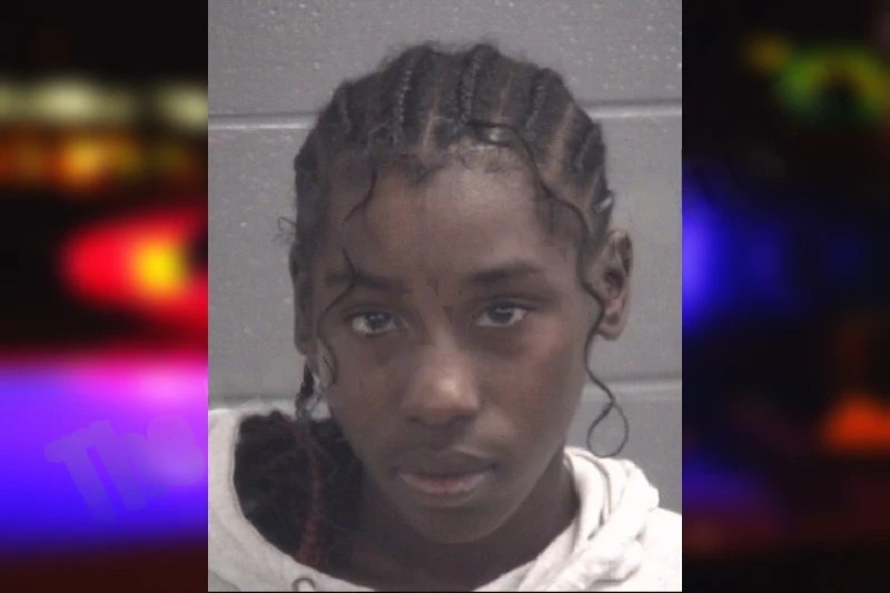 Nigeria Smith Mugshots