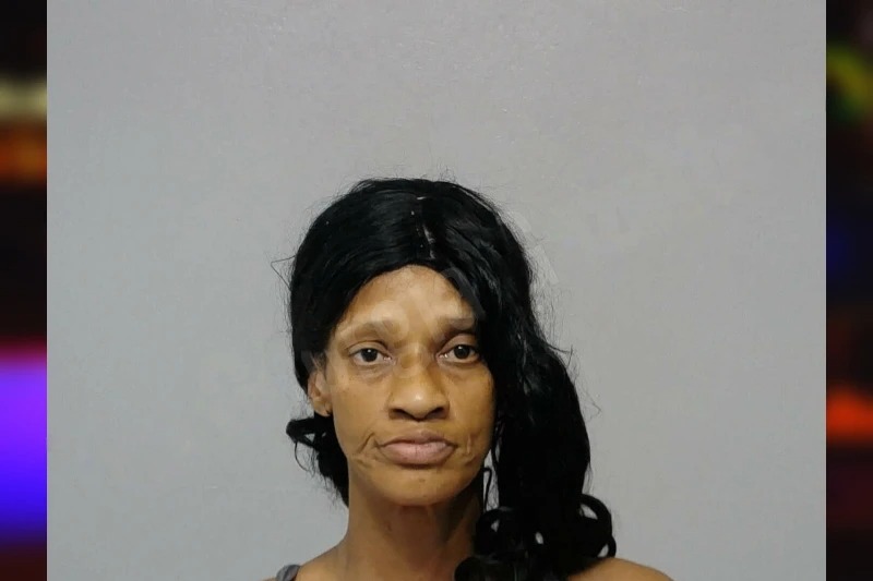 Nikesha Cobb Mugshots