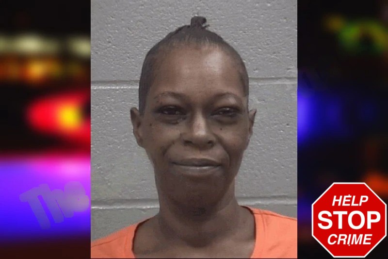 Nikki Young Mugshots