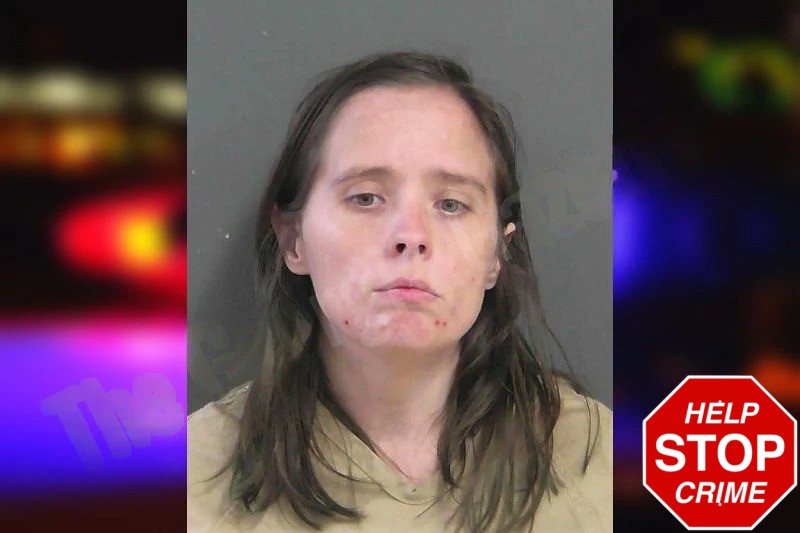 Nikki Young Mugshots