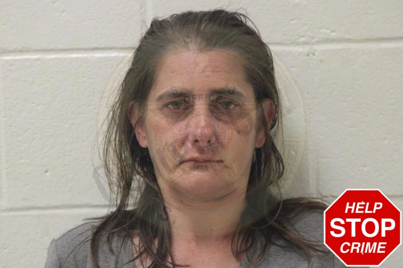 Nina Kimble Mugshots