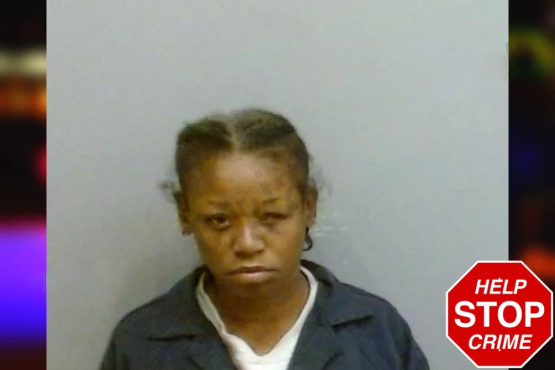 Nina Wilson Mugshots