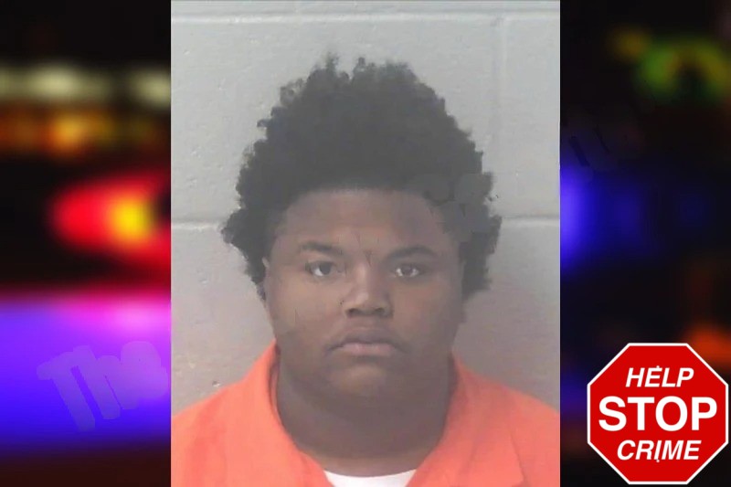 Nolynn Hardeman Mugshots