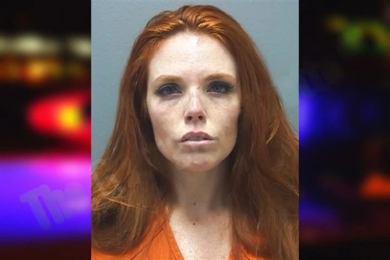 Nona Cook mugshot – Cherokee County , Georgia Nona Cook