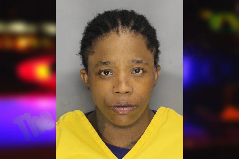 Norma Lawson Mugshots