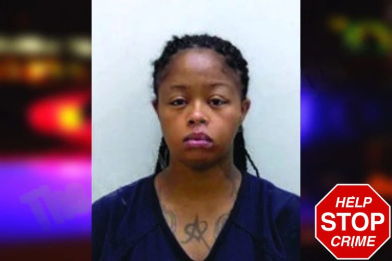 Normande Lands mugshot – Bartow County , Georgia Normande Lands