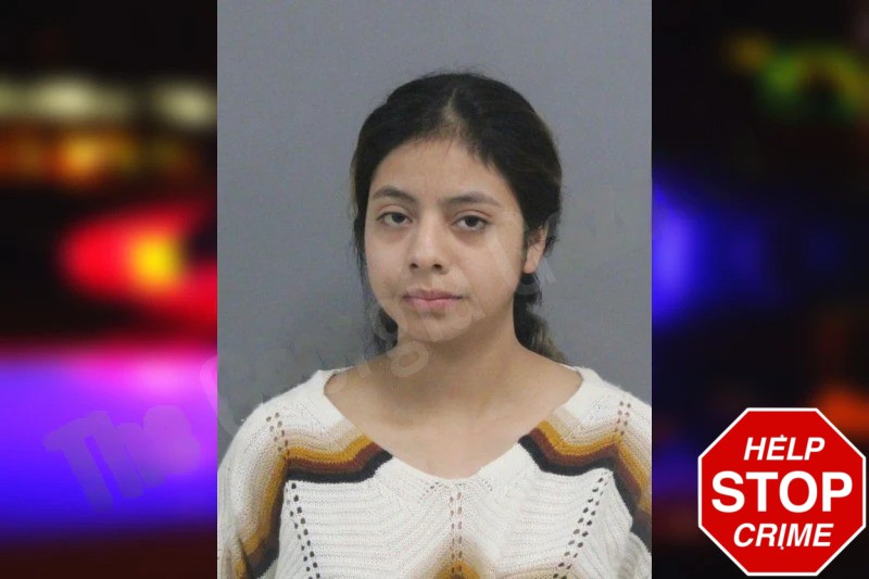 Odalis Perez Mugshots