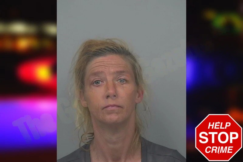 Opal Jackson mugshot – Gwinnett County , Georgia Opal Jackson mugshot