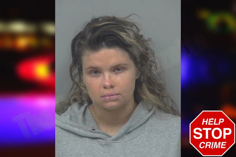 Paiton Holbrook Mugshots