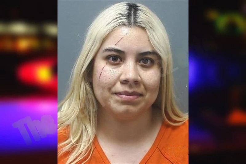 Pamela Ramirez Mugshots