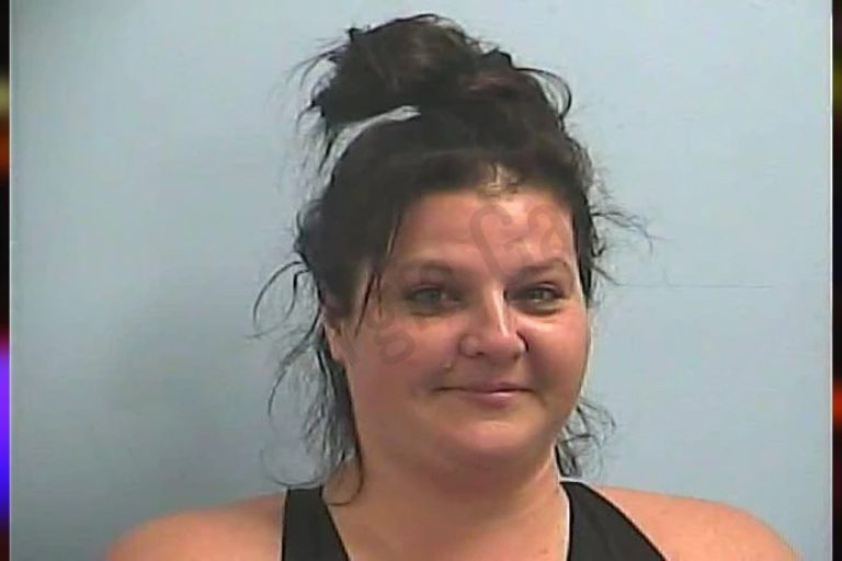 Pamela Wallace mugshot – Dawson County , Georgia Pamela Wallace