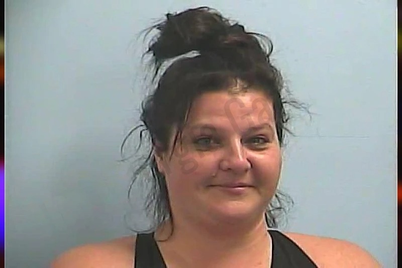 Pamela Wallace mugshot β Dawson County , Georgia Pamela Wallace mugshot