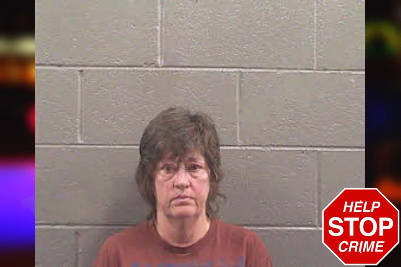 Pamela Young Mugshots