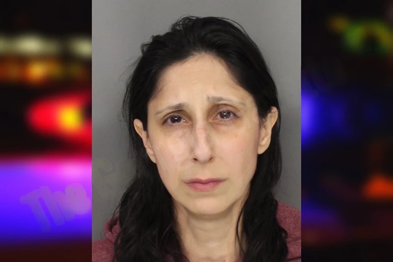 Parisa Shokoohi Mugshots