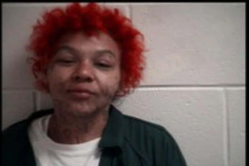 Patricia Bailey mugshot