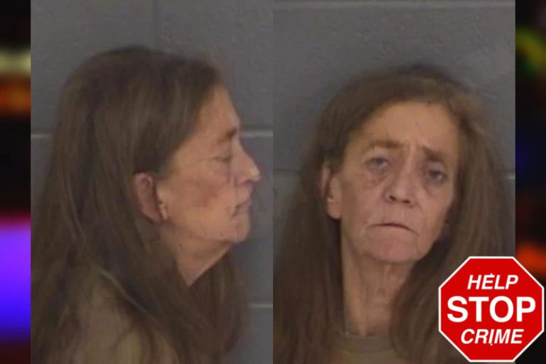 Patricia McDaniel mugshot – Barrow County , Georgia Patricia McDaniel