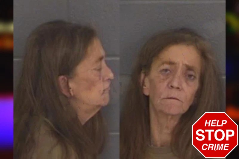 Patricia McDaniel Mugshots