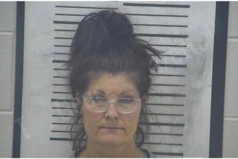 Patricia Meeks Mugshots