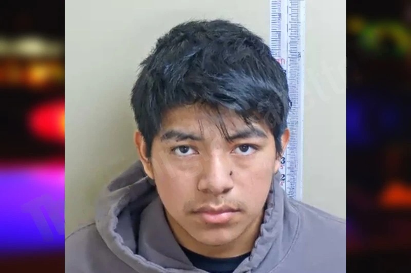 Patrocinio Hernandez-Molina mugshot