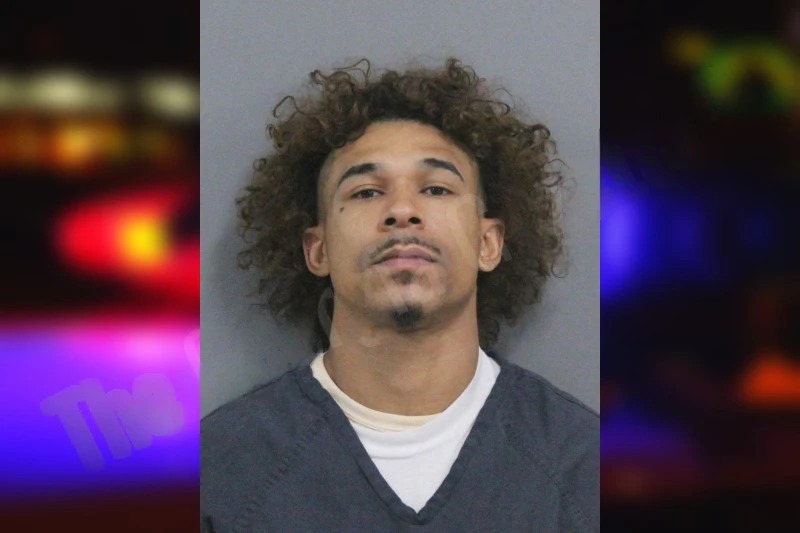 Paul Johnson Mugshots