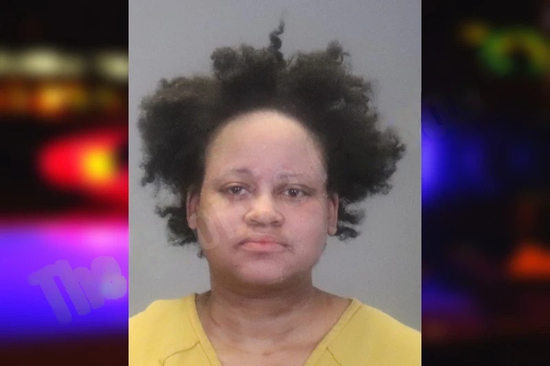 Paula Holmes Mugshots