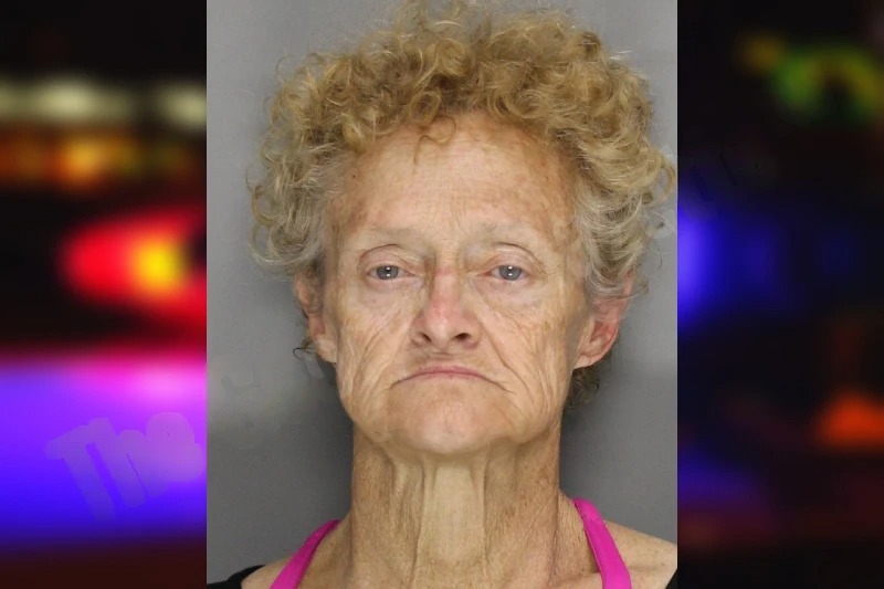 Paula Hutchinson Mugshots