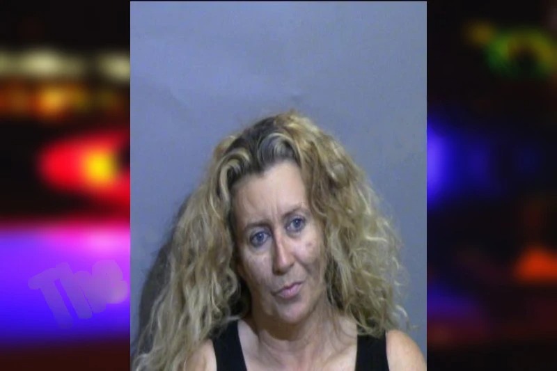 Paula Taylor mugshot – Glynn County , Georgia Paula Taylor mugshot