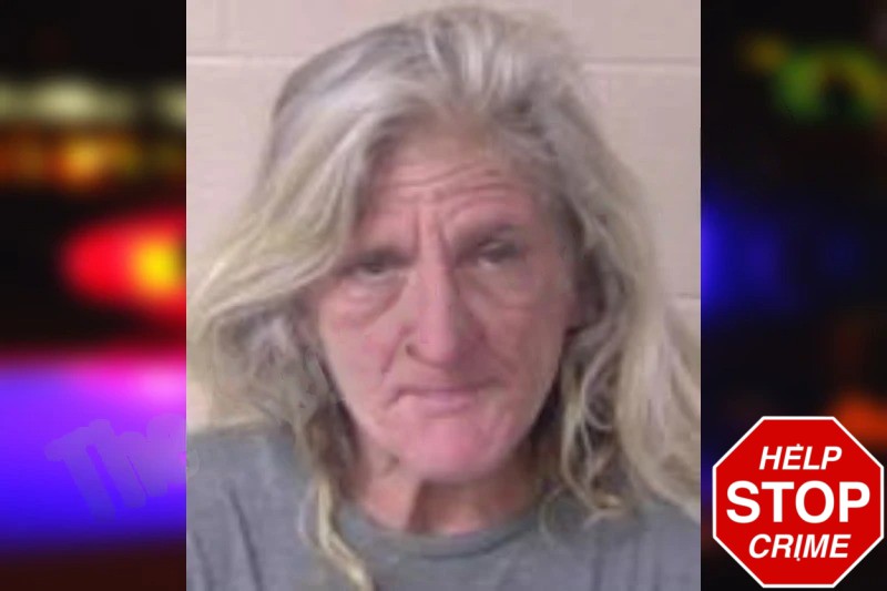 Penny Herndon Mugshots