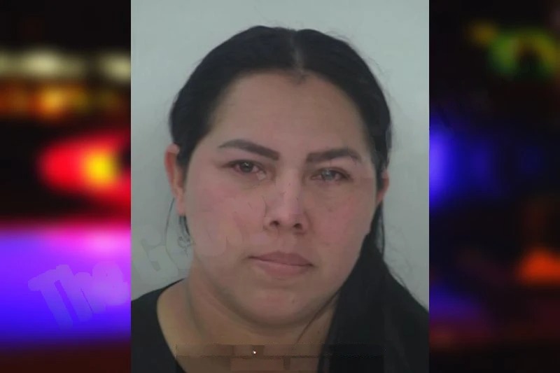 Perla Collado Zamora Mugshots