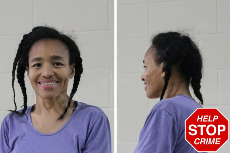 Pheadra Jones Mugshots