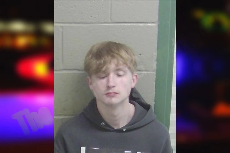 Phoenix Chapman Mugshots