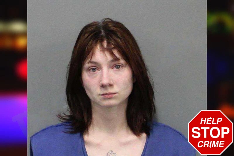 Piper Seabolt mugshot – White County , Georgia Piper Seabolt mugshot