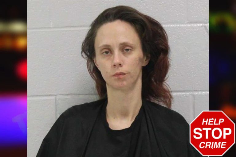 Polly Lambert mugshot – Carroll County , Georgia Polly Lambert