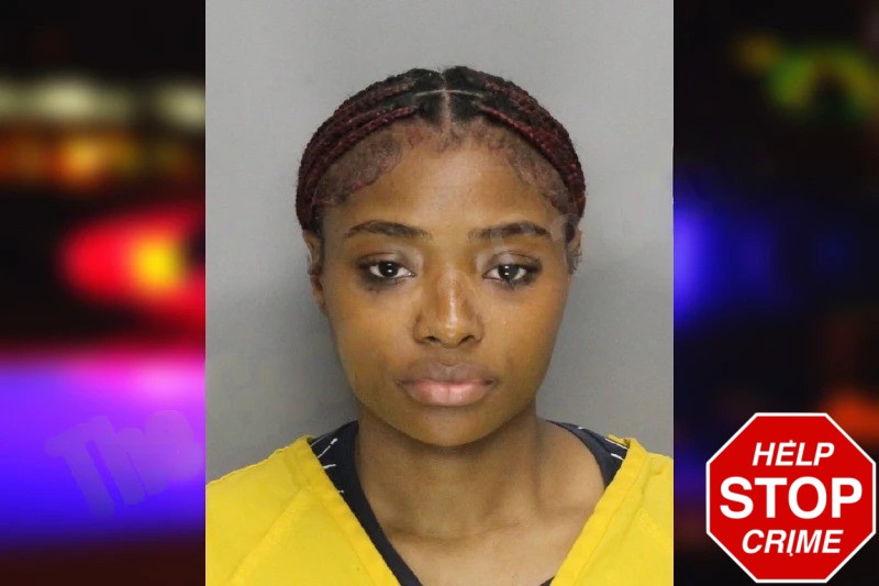 Princess Lewis mugshot – Cobb County , Georgia Princess Lewis mugshot