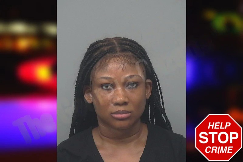 Princess Obembe Mugshots