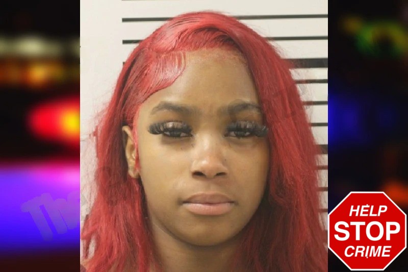 Promise Gaines Mugshots